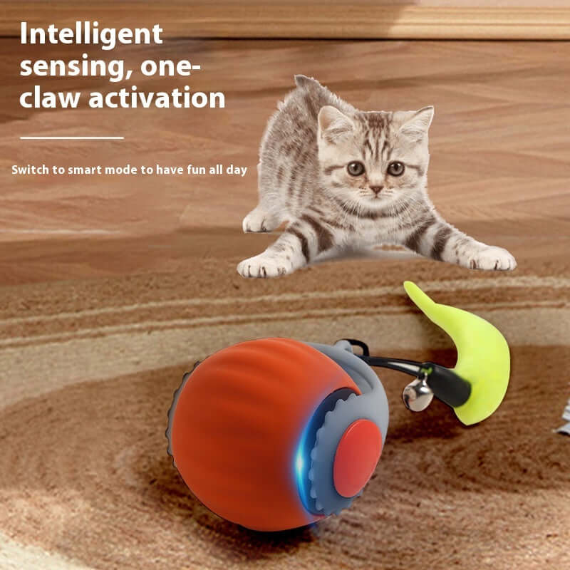 Cat Toy Ball - Maldi