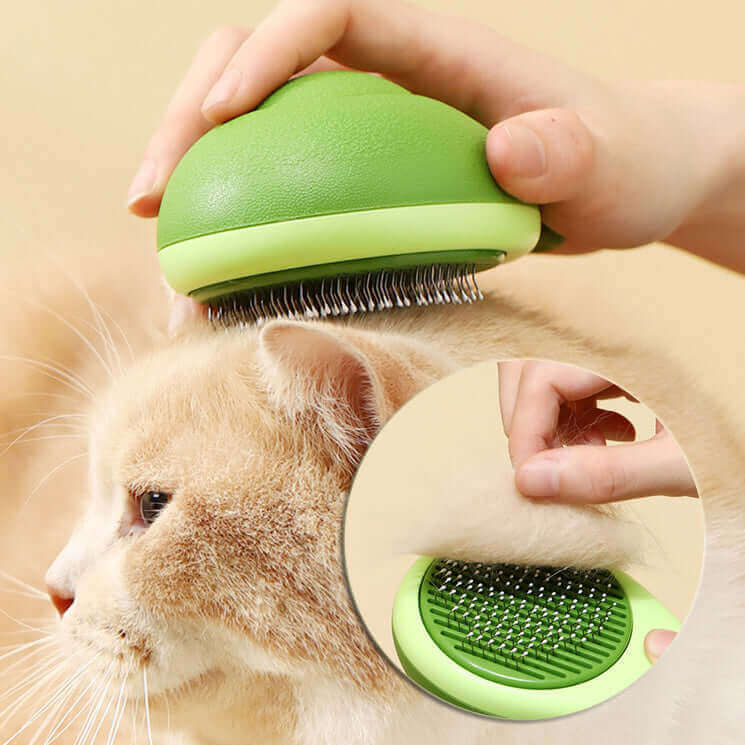 Cat Brush - Maldi