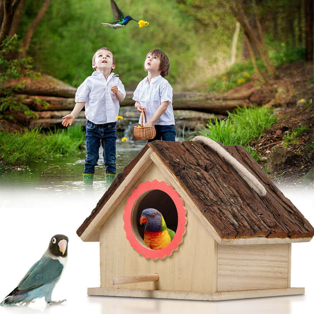 Bird House - Maldi