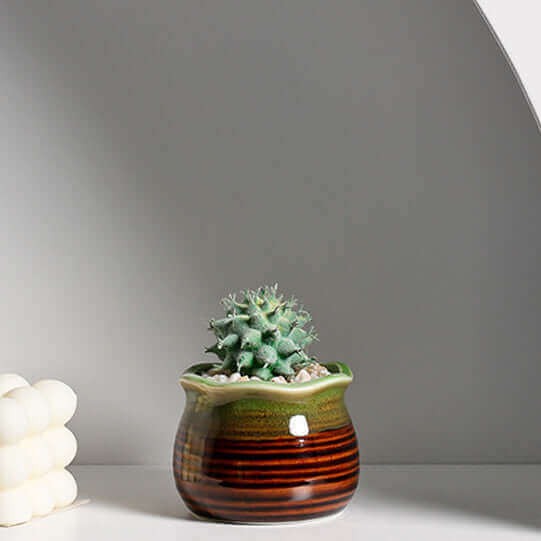 Ceramic Succulent Flowerpot - My Store