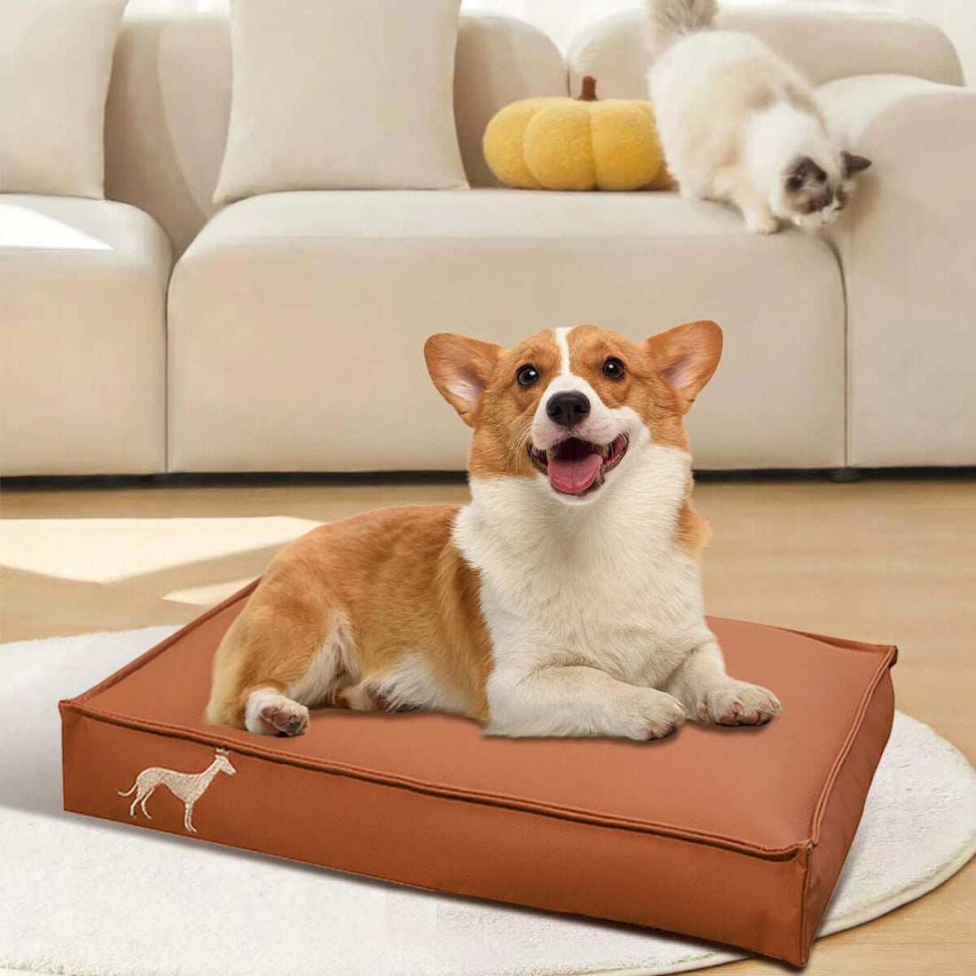 Happy Corgi lounging on a waterproof pet bed with a cat nearby, showcasing plush comfort and durable design in a cozy living room.