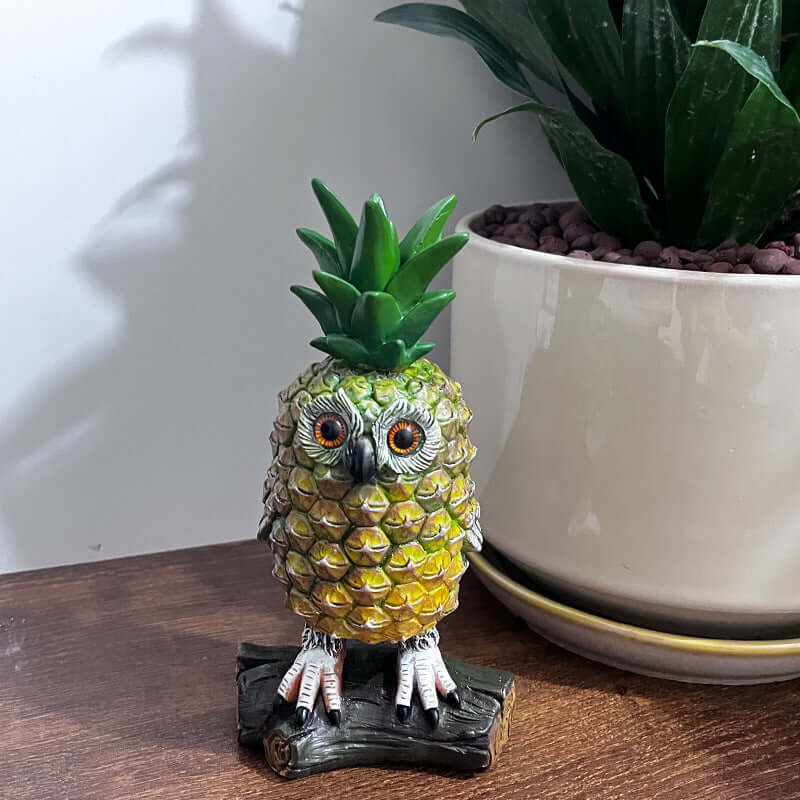 Pineapple Owl - Maldi