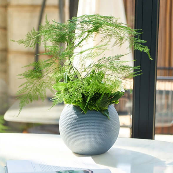 Stylish round succulent flowerpot with lush green foliage, designed to save water and enhance any indoor space.